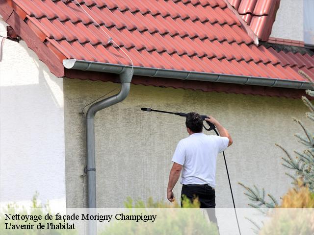 Nettoyage de façade  morigny-champigny-91150 L'avenir de l'habitat 